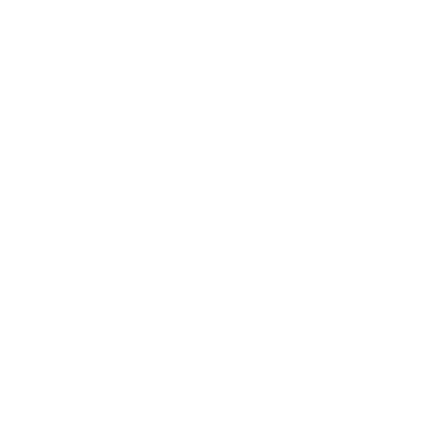 BSL Logo
